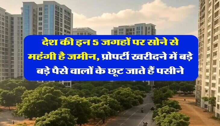 Property Rates Hike : देश की इन 5 जगहों पर सोने से महंगी है जमीन, प्रोपर्टी खरीदने में बड़े बड़े पैसे वालों के छूट जाते हैं पसीने