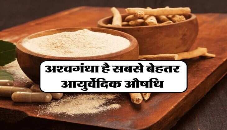 अश्वगंधा है सबसे बेहतर आयुर्वेदिक औषधि, इन 4 बिमारियों को कर देगा जड़ से खत्म