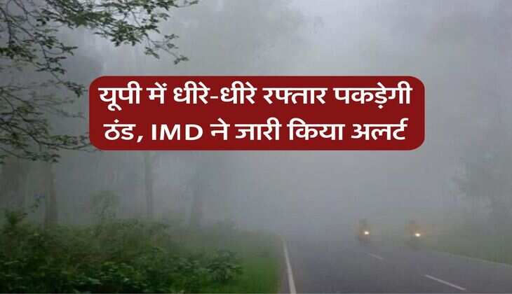 UP Weather : यूपी में धीरे-धीरे रफ्तार पकड़ेगी ठंड, IMD ने जारी किया अलर्ट