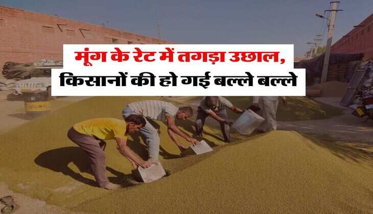 Anaj Mandi bhav : मूंग के रेट में तगड़ा उछाल, किसानों की हो गई बल्ले बल्ले, चेक करें देशभर की मंडियों के रेट