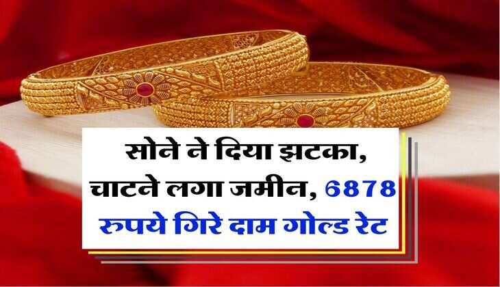 Gold Rate : सोने ने दिया झटका, चाटने लगा जमीन, 6878 रुपये गिरे दाम गोल्ड रेट