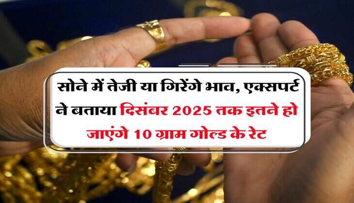 Gold Price : सोने में तेजी या गिरेंगे भाव, एक्सपर्ट ने बताया दिसंबर 2025 तक इतने हो जाएंगे 10 ग्राम गोल्ड के रेट