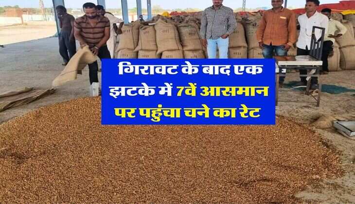 Chana Mandi Rate : गिरावट के बाद एक झटके में 7वें आसमान पर पहुंचा चने का रेट&nbsp;