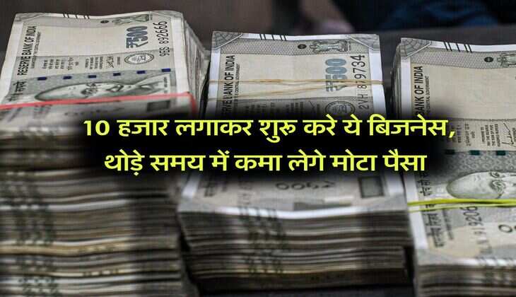 Business Idea :10 हजार लगाकर शुरू करे ये बिजनेस, थोड़े समय में कमा लेगे मोटा पैसा
