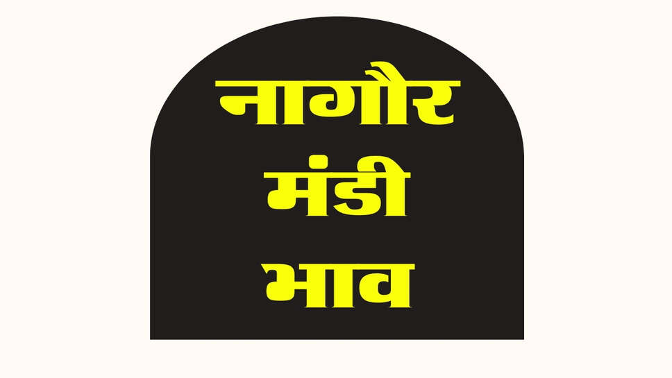 नागौर मंडी भाव 31 अक्टूबर 2026: जीरा, सौंफ और इसबगोल में तेजी, मूंग और मोठ में मंदी