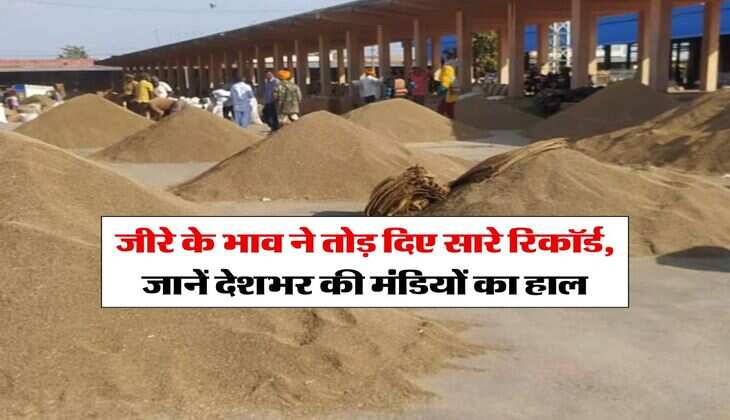 Jeera Mandi Bhav : जीरे के भाव ने तोड़ दिए सारे रिकॉर्ड, जानें देशभर की मंडियों का हाल