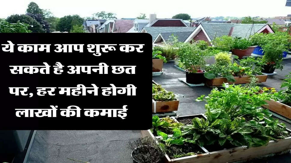 ये काम आप शुरू कर सकते है अपनी छत पर, हर महीने होगी लाखों की कमाई&nbsp;