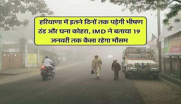 Haryana Mausam : हरियाणा में इतने दिनों तक पड़ेगी भीषण ठंड और घना कोहरा, IMD ने बताया 19 जनवरी तक कैसा रहेगा मौसम