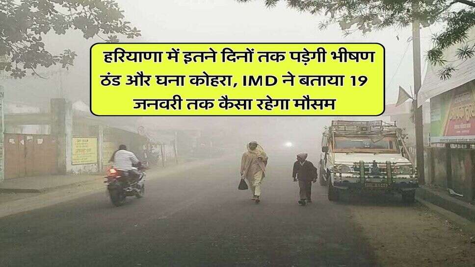 Haryana Mausam : हरियाणा में इतने दिनों तक पड़ेगी भीषण ठंड और घना कोहरा, IMD ने बताया 19 जनवरी तक कैसा रहेगा मौसम