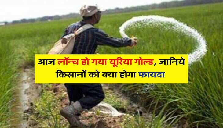 What is Urea Gold : &nbsp;आज लॉन्च हो गया यूरिया गोल्ड, जानिये किसानों को क्या होगा फायदा