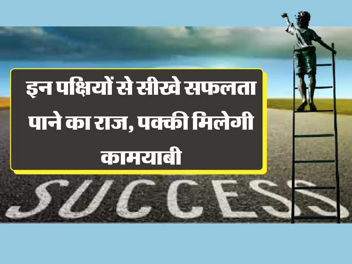 Chanakya Niti: इन तीन पक्षियों से सीखे सफलता पाने का राज, सीख गए तो पक्की मिलेगी कामयाबी