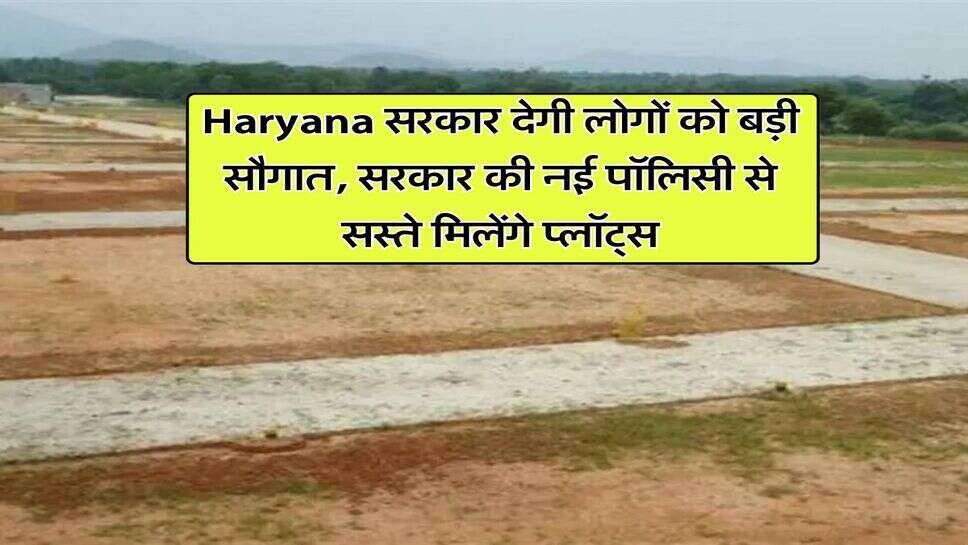 Haryana सरकार देगी लोगों को बड़ी सौगात, सरकार की नई पॉलिसी से सस्ते मिलेंगे प्लॉट्स