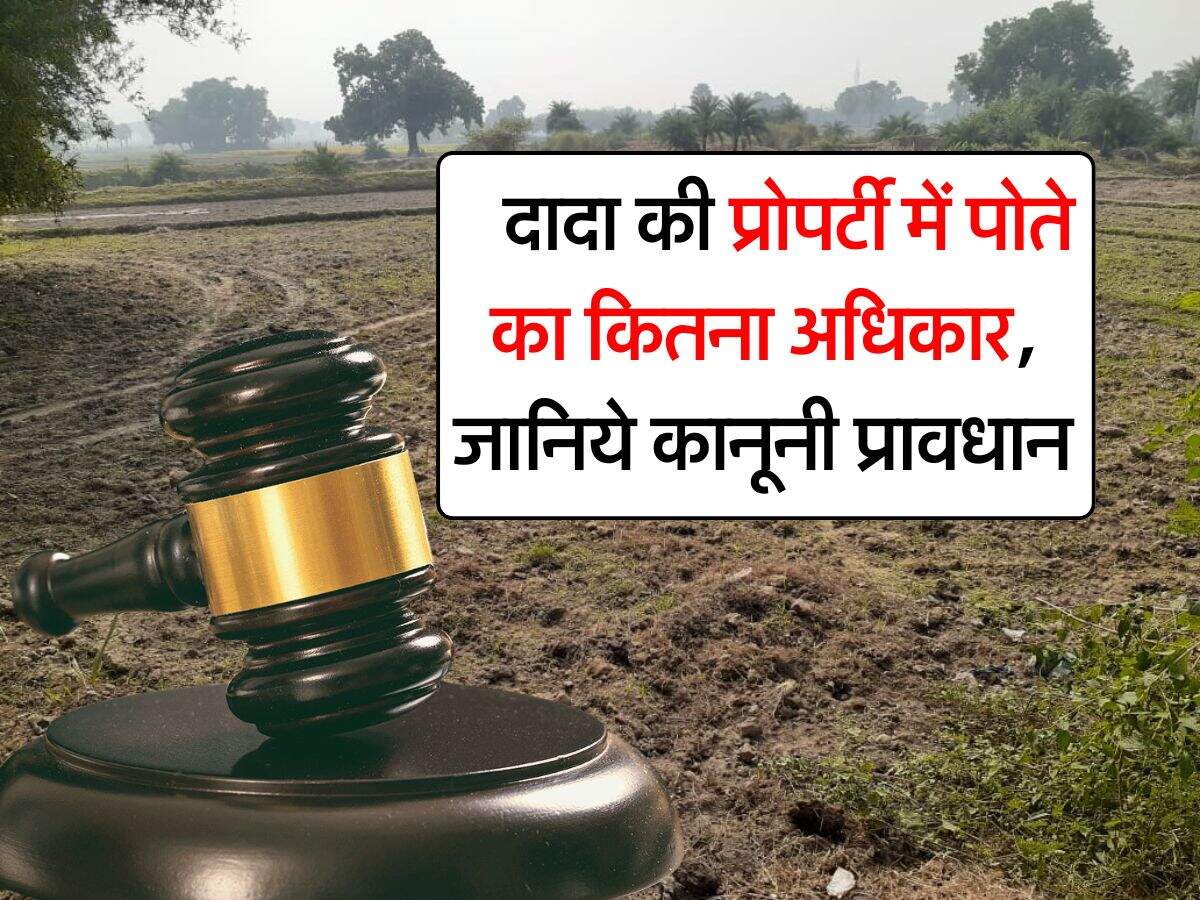 ancestral property rights : दादा की प्रोपर्टी में पोते का कितना अधिकार, जानिये कानूनी प्रावधान