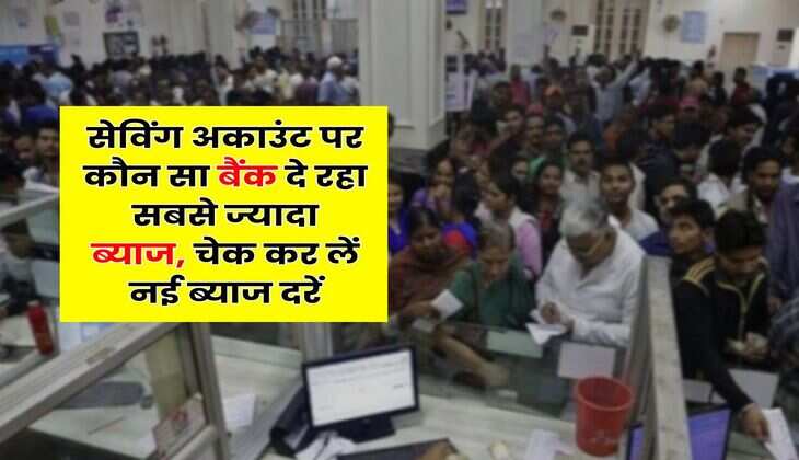 Savings Account : सेविंग अकाउंट पर कौन सा बैंक दे रहा सबसे ज्यादा ब्याज, चेक कर लें नई ब्याज दरें