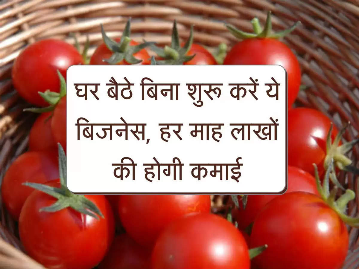 tomato sauce Business : घर बैठे बिना नौकरी छोड़े शुरू करें ये बिजनेस, हर माह लाखों की होगी कमाई