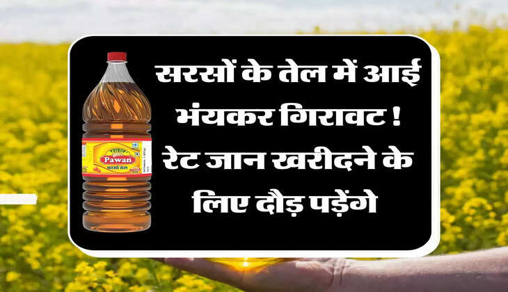 Mustard Oil Price: सरसों के तेल में आई भंयकर गिरावट! रेट जान खरीदने के लिए दौड़ पड़ेंगे 