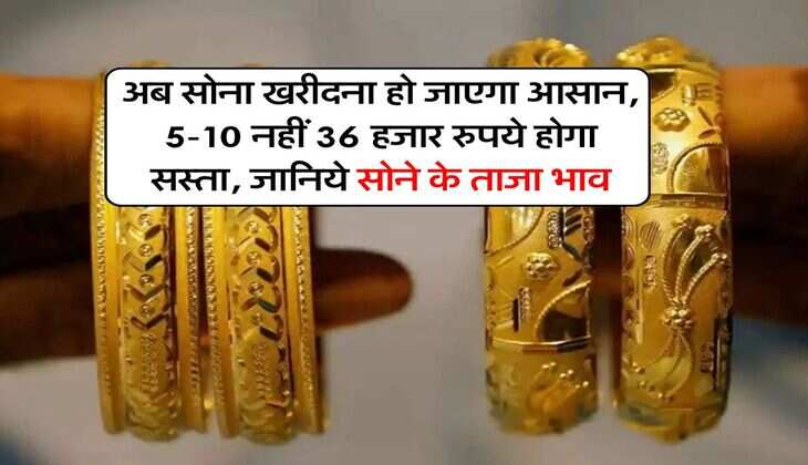 Gold Rate : अब सोना खरीदना हो जाएगा आसान, 5-10 नहीं 36 हजार रुपये होगा सस्ता, जानिये सोने के ताजा भाव