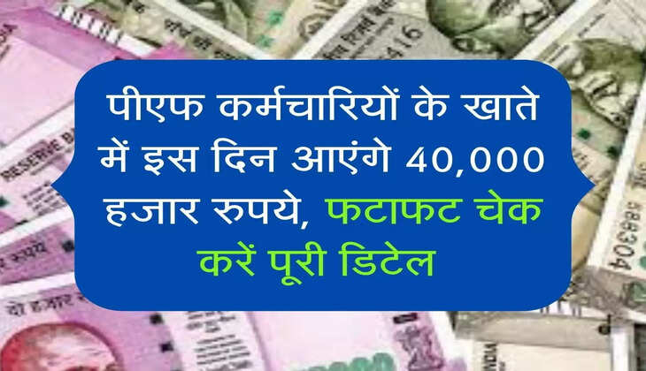 पीएफ कर्मचारियों के खाते में इस दिन आएंगे 40,000 हजार रुपये, फटाफट चेक करें पूरी डिटेल 