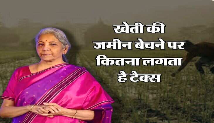 2024 Income Tax Rules : खेती की जमीन बेचने पर कितना लगता है टैक्स, जान लें इनकम टैक्स के नियम