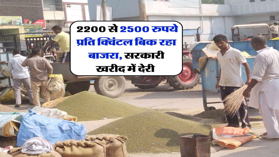 Hisar Mandi Bhav : 2200 से 2500 रुपये प्रति क्विंटल बिक रहा बाजरा, सरकारी खरीद में देरी&nbsp;