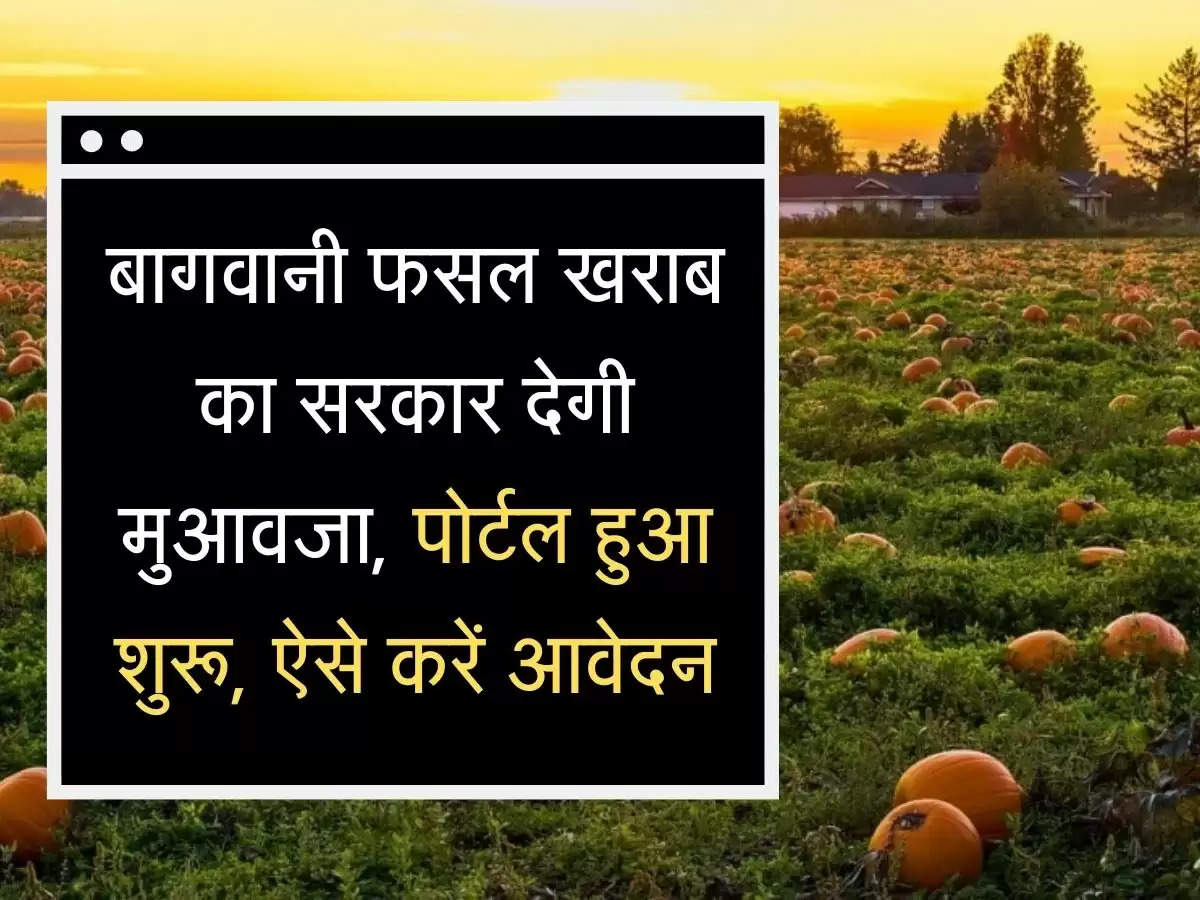 Fasal muaavaja बागवानी  फसल खराब का सरकार देगी मुआवजा, पोर्टल हुआ शुरू, ऐसे करें आवेदन