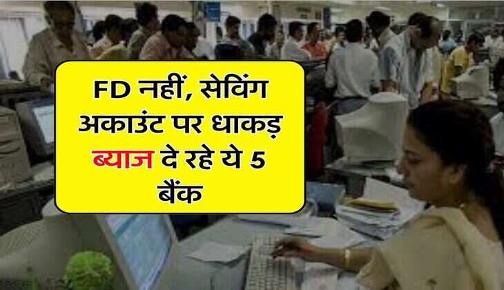 FD नहीं, सेविंग अकाउंट पर धाकड़ ब्याज दे रहे ये 5 बैंक, बस एक शर्त करनी पड़ेगी पूरी