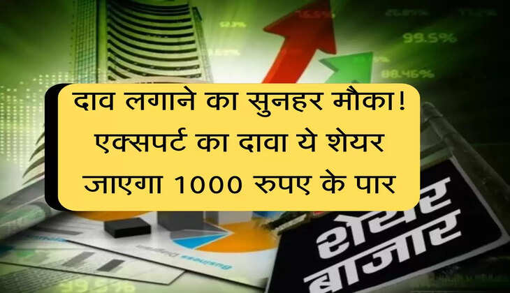 दाव लगाने का सुनहर मौका! एक्सपर्ट का दावा ये शेयर जाएगा 1000 रुपए के पार