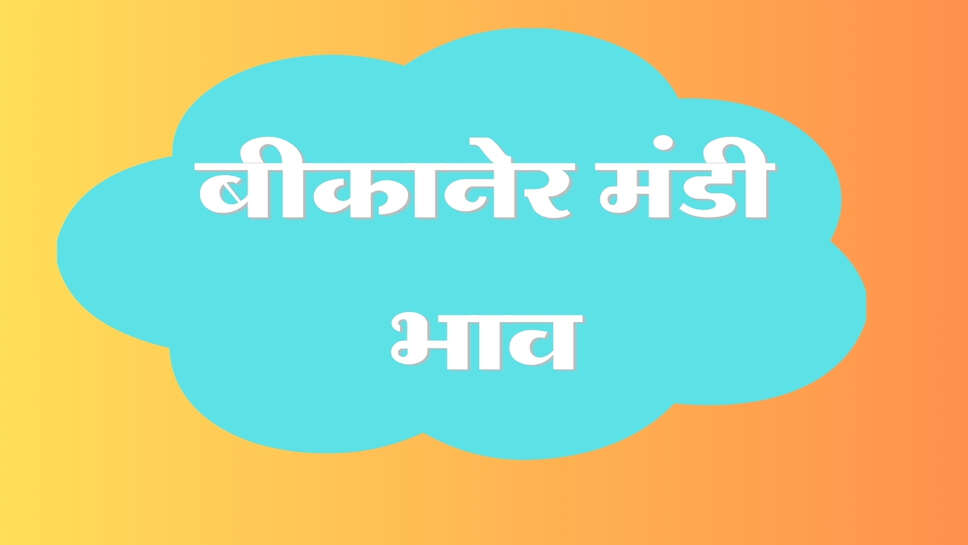 बीकानेर अनाज मंडी भाव 20 अक्टूबर 2026: ग्वार में शाम को 450 रुपए की मंदी, जानें सभी फसलों के ताजा रेट