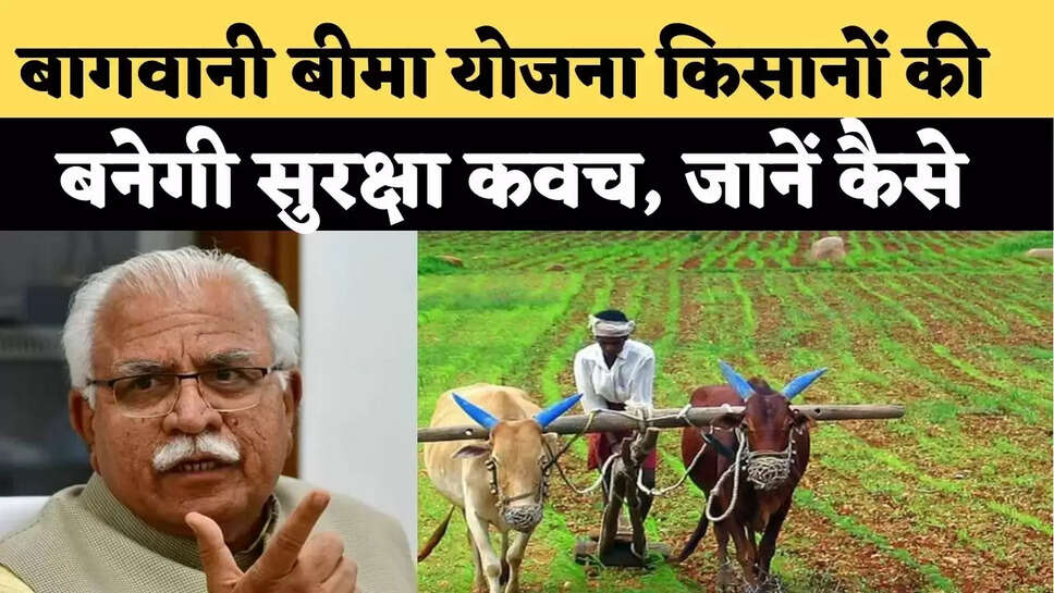 haryana news