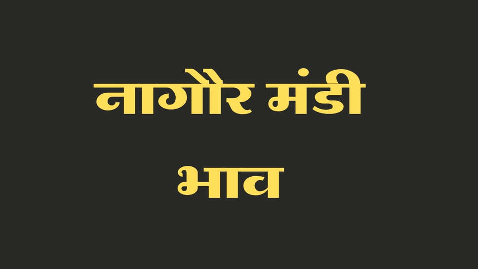 नागौर मंडी भाव 14 अक्टूबर 2026: जीरा-ईसबगोल में बड़ी मंदी, सौंफ के भाव में तेजी, देखें