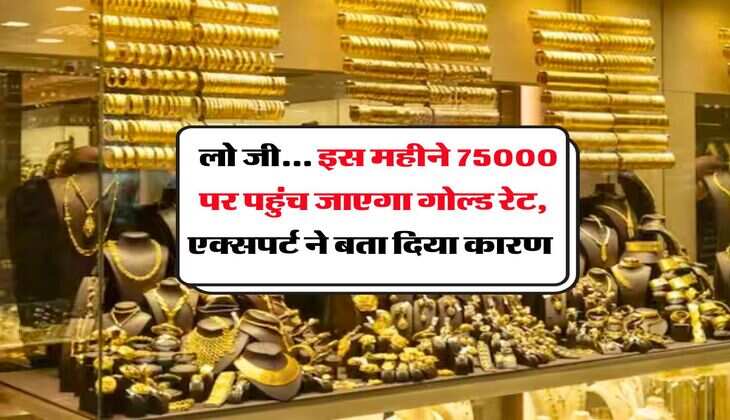  Gold Rate : लो जी... इस महीने 75000 पर पहुंच जाएगा गोल्ड रेट, एक्सपर्ट ने बता दिया कारण