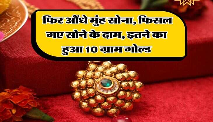 MCX Gold Rate : फिर औंधे मुंह सोना, फिसल गए सोने के दाम, इतने का हुआ 10 ग्राम गोल्ड