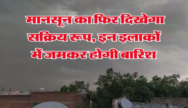 Rain Alert Haryana : मानसून का फिर दिखेगा सक्रिय रूप, इन इलाकों में जमकर होगी बारिश