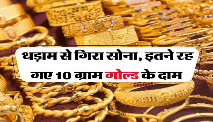 Gold Rate : धड़ाम से गिरा सोना, इतने रह गए 10 ग्राम गोल्ड के दाम