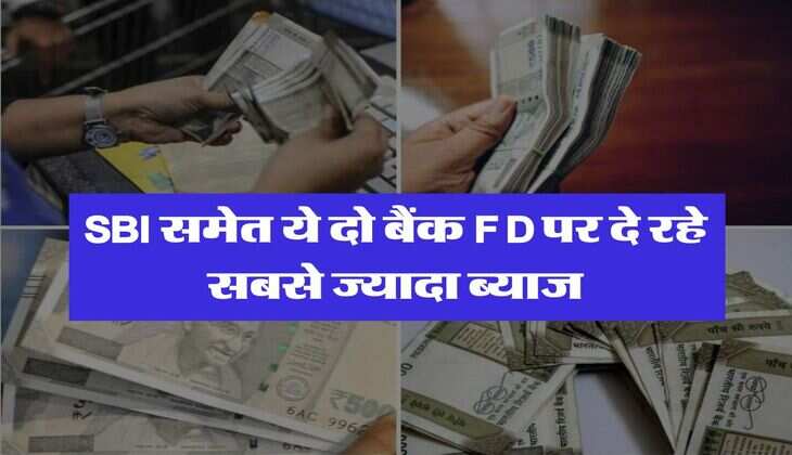 निवेश करने वालों की हुई मौज, SBI समेत ये दो बैंक FD पर दे रहे सबसे ज्यादा ब्याज