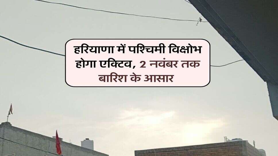 हरियाणा में पश्चिमी विक्षोभ होगा एक्टिव, 2 नवंबर तक बारिश के आसार 
