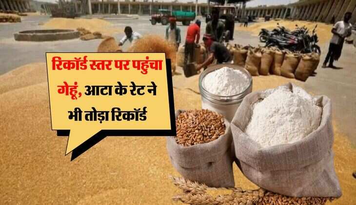 wheat flour price hike : रिकॉर्ड स्तर पर पहुंचा गेहूं, आटा के रेट ने भी तोड़ा रिकॉर्ड