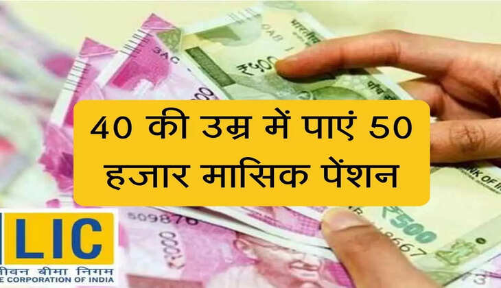 saral pension scheme lic in hindi