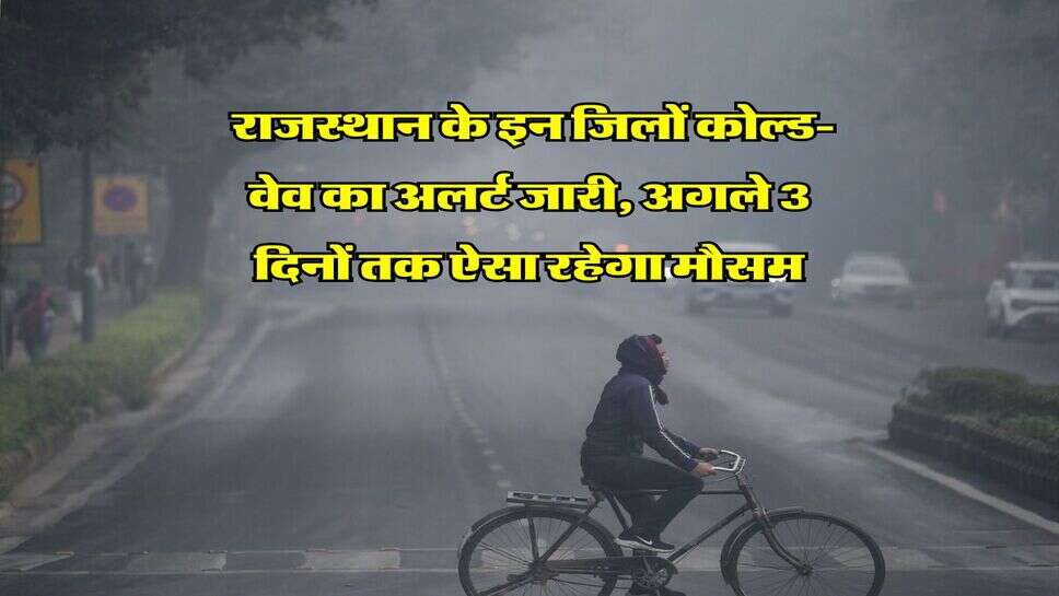 Weather Forecast : राजस्थान के इन जिलों कोल्ड-वेव का अलर्ट जारी, अगले 3 दिनों तक ऐसा रहेगा मौसम