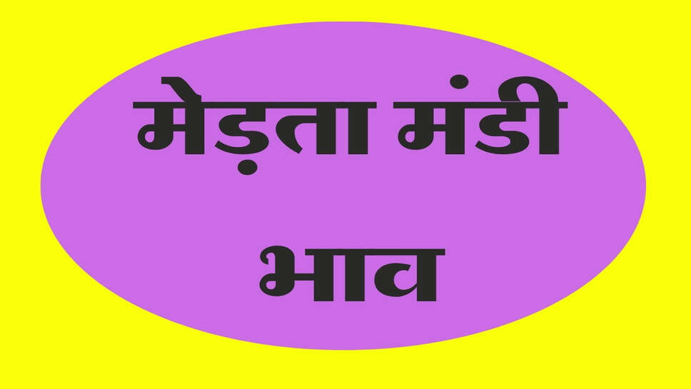मेड़ता मंडी भाव 16 अक्टूबर 2026: सुवा और ग्वार में तेजी, मूंग में मंदी, देखें ताजा भाव