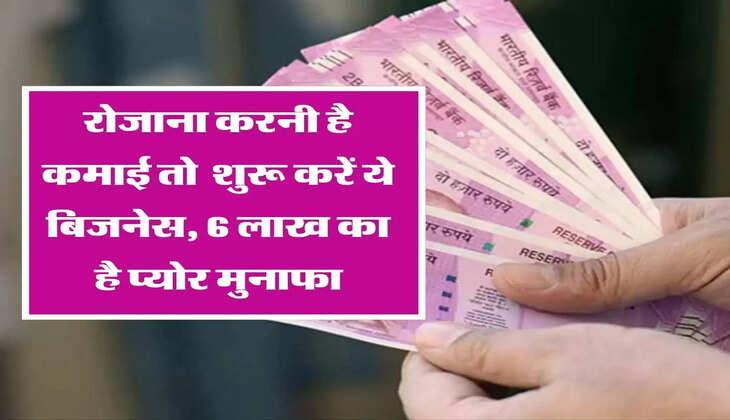 रोजाना करनी है कमाई, आज ही शुरू करें ये बिजनेस, 6 लाख का है प्योर मुनाफा