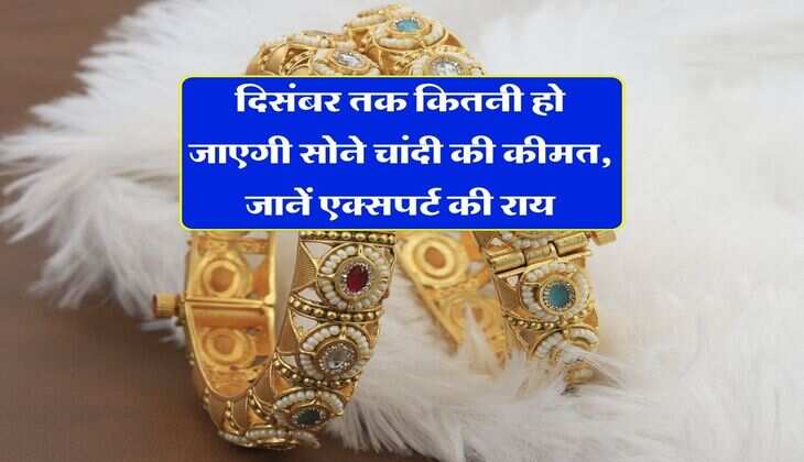 Gold Silver Price : दिसंबर तक कितनी हो जाएगी सोने चांदी की कीमत, जानें एक्सपर्ट की राय