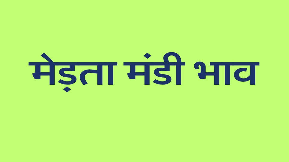 मेड़ता मंडी भाव 28 अक्टूबर 2026: तेजी-मंदी के साथ जानें सभी फसलों के ताजा भाव