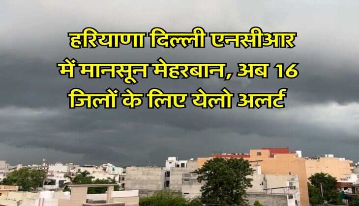 Delhi Weather alert : हरियाणा दिल्ली एनसीआर में मानसून मेहरबान, अब 16 जिलों के लिए येलो अलर्ट 