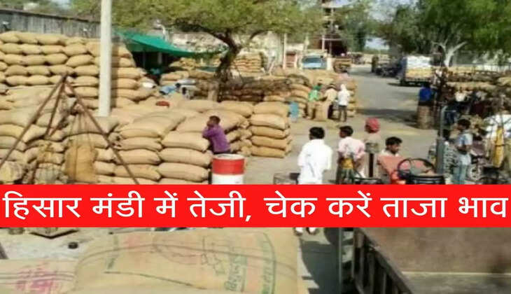 दो दिन में हिसार मंडी में दिखी तेजी, चेक करें ताजा भाव