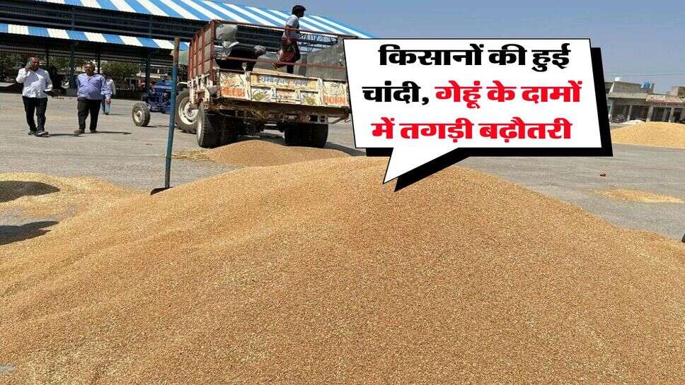 gehu mandi bhav : किसानों की हुई चांदी, गेहूं के दामों में तगड़ी बढ़ौतरी
