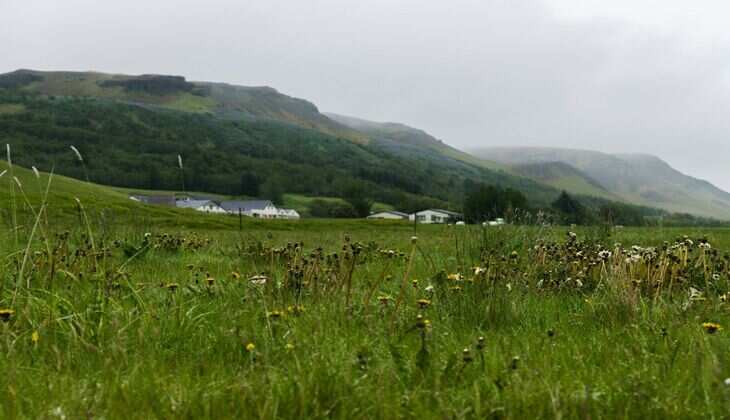 IMD Weather Alert : पहाड़ों में बारिश बर्फबारी तो मैदानों में कैसा रहेगा मौसम, जानें वेदर अपडेट