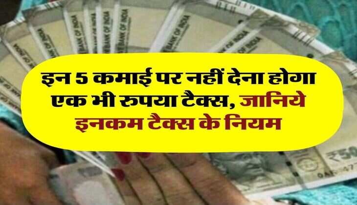 Tax Free Income:  इन 5 कमाई पर नहीं देना होगा एक भी रुपया टैक्स, जानिये इनकम टैक्स के नियम