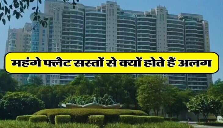 Expensive and Cheap Flats : महंगे फ्लैट सस्तों से क्यों होते हैं अलग, जानिए कौन-कौन सी मिलती हैं सुविधाएं