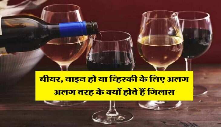 Alcohol glass : बीयर, वाइन हो या व्हिस्की के&nbsp;लिए अलग अलग तरह के क्यों होते हैं गिलास, जानिये इसका कारण
